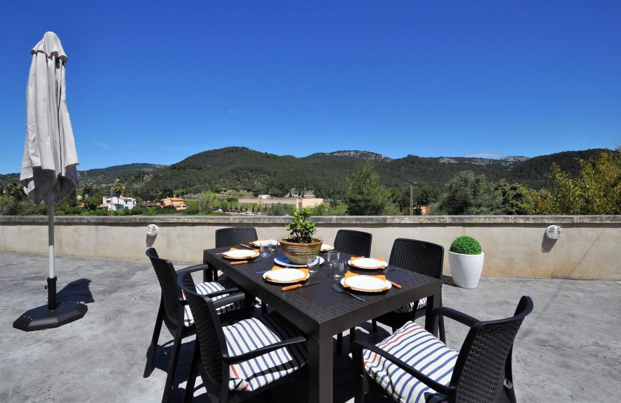 Encinas-en El Pueblo De Esporles- Mallorca Esporles