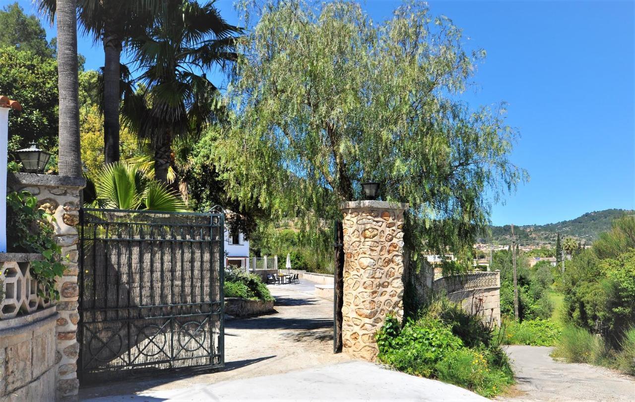 Encinas-en El Pueblo De Esporles- Mallorca *