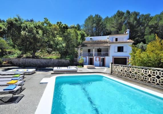 Encinas-en El Pueblo De Esporles- Mallorca