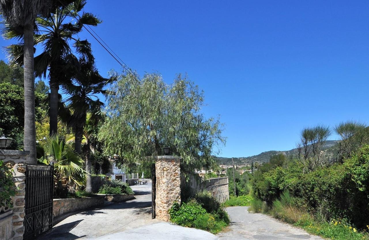 Encinas-en El Pueblo De Esporles- Mallorca