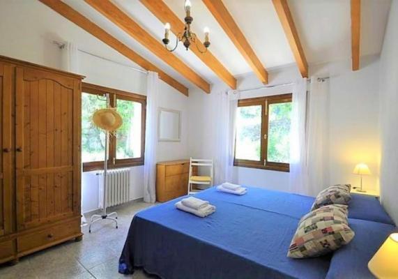 Encinas-en El Pueblo De Esporles- Mallorca *