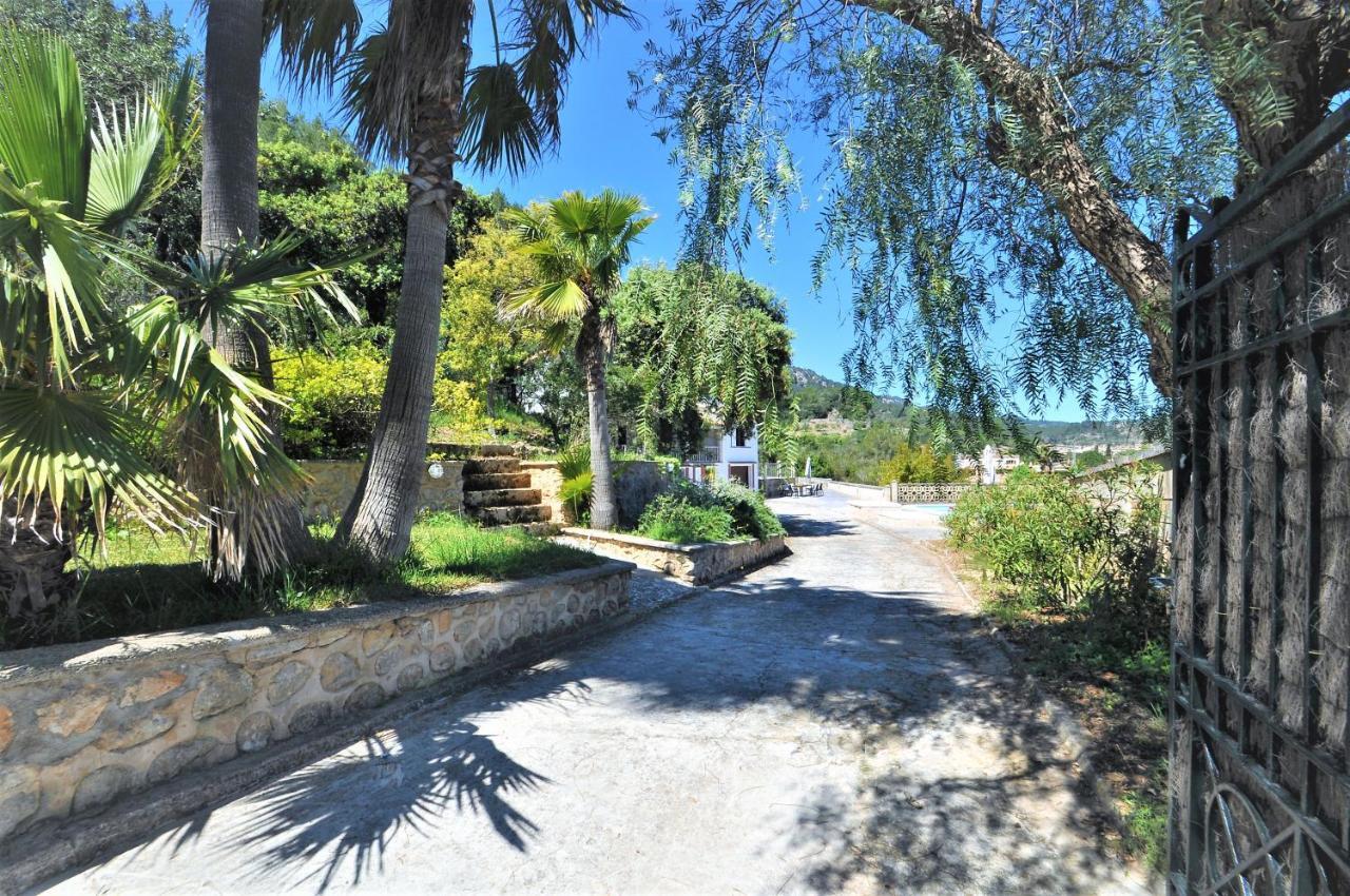 Encinas-en El Pueblo De Esporles- Mallorca * Esporles