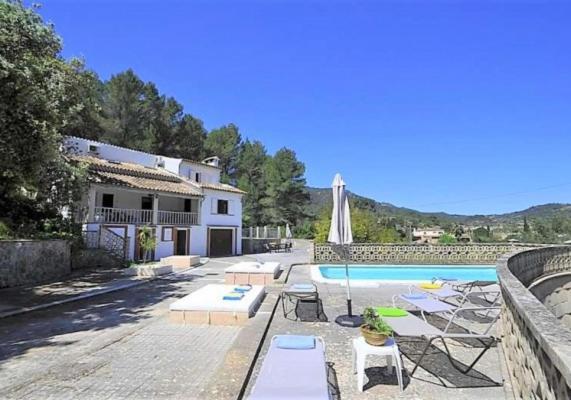 Encinas-en El Pueblo De Esporles- Mallorca *